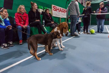 Meet and Greet am 10.12.16 276 - Meet and Greet mit Carina Witthoeft